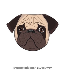 Pug face in Vector