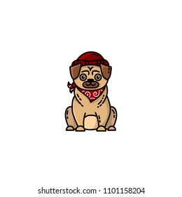 Pug flat icon. Portrait of a cute pet pug dog with hipster hat and scarf. Vector picture for web, social media, mobile and infographics