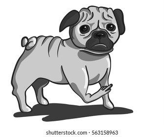 pug. fuck. vector