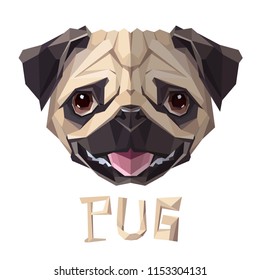 Pug funny Dog low poly design. Triangle vector illustration.