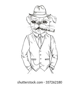 pug gangster with cigar, furry art illustration