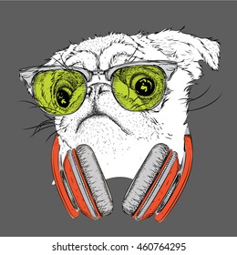 Pug in glasses and headphones. Vector illustration.