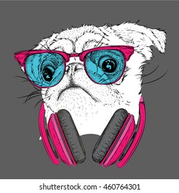 Pug in glasses and headphones. Vector illustration.
