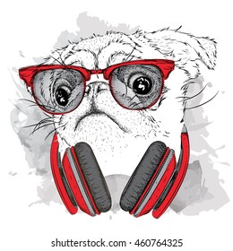 Pug in glasses and headphones. Vector illustration.