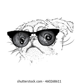 Pug in glasses and winter scarf . Vector illustration.