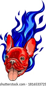 Pug head carlino dog face - vector illustration