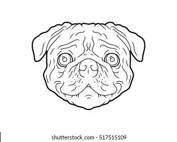 Pug Head Line Art