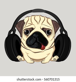 pug in headphones