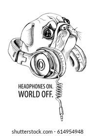 Pug with a headphones on a neck. Vector illustration.