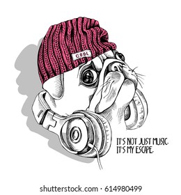 Pug in a hipster hat and with a headphones on a neck. Vector illustration.