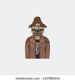 pug hipster portrait, fashion dogs