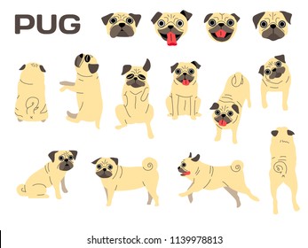 pug illstration,dog poses,dog breed