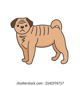 Pug isolated vector illustration. Small dog with folds and  flattened muzzle. Home pet doodle kawaii