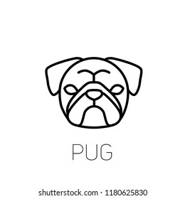 Pug linear face icon.  Isolated outline dog head vector 