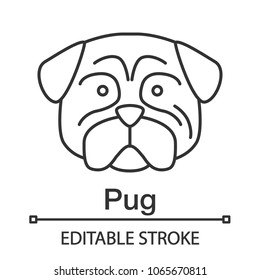 Pug linear icon. Thin line illustration. Mops. Companion dog breed. Contour symbol. Vector isolated outline drawing. Editable stroke