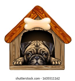 A Pug Looks Out Of The Doghouse. Wall Sticker. Artistic, Color Image Of A Pug Dog Looking Out Of A Wooden Dog House On A White Background.