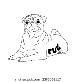 Pug in minimalist line drawing Vector dog for tattoo.
