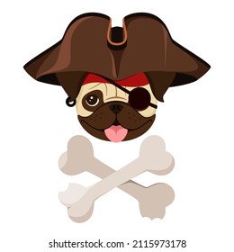 Pug pirate in a hat on a white background. Cartoon design.
