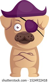 Pug is pirate, illustration, vector on white background.