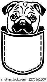 Pug in a pocket black and white