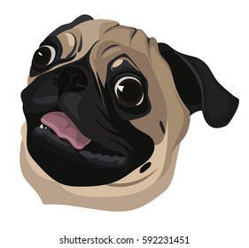 Pug portrait