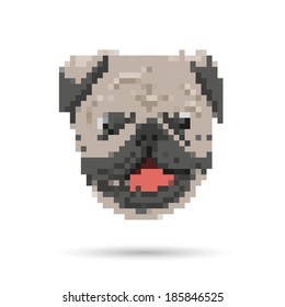 Pug portrait abstract isolated on a white backgrounds, vector illustration