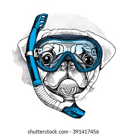 Pug portrait in a blue diving mask and with tube. Vector illustration.