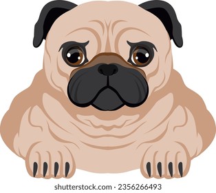 Pug portrait. Cute wrinkled dog. Friendly pet