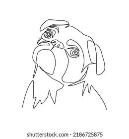 Pug portrait vector illustration drawn in line art style