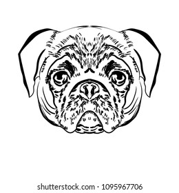 Pug. Prints for T-shirts. Dog. For your design.