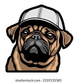 Pug puppy in a baseball cap.