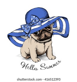 Pug Puppy in a blue summer sun hat with bow. Vector illustration.