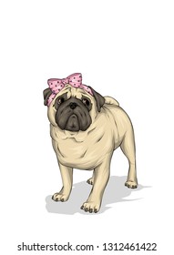 Pug Puppy with a bow. Vector illustration.