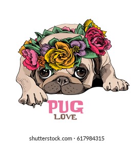 Pug Puppy in a bright floral  head wreath. Vector illustration.