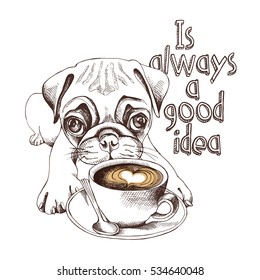 Pug puppy with a cup of coffee. Vector illustration.