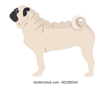 Pug Puppy dog vector illustration isolated on white background
