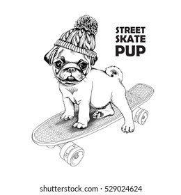 Pug puppy in a knitted hat with pom-pom on a skateboard. Vector black and white illustration.