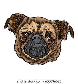Pug puppy on white background. Doggy portrait. Vector illustration.