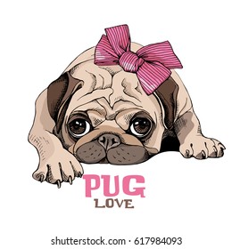 Pug Puppy with a pink bow. Vector illustration.