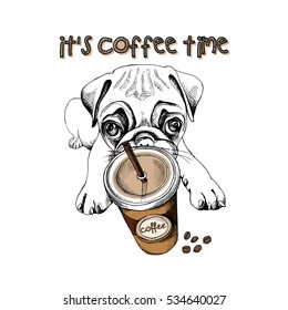 Pug puppy with a plastic cup of coffee. Vector illustration.