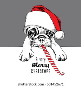 Pug puppy in a red Santa's cap with a festive whistle. Vector illustration.