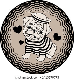 Сute pug puppy in a sailor costume is sitting on the beige carpet with ornament and looking at you