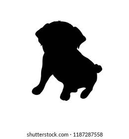 Pug purebred dog - vector silhouette isolated