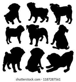 Pug purebred dog - vector silhouette isolated