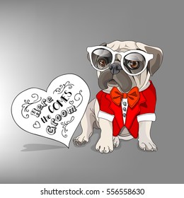 Pug in a red tuxedo and white glasses with heart card on a gray background. Vector illustration.