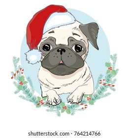 pug in Santa hat, dog