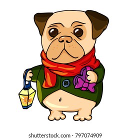 Pug in a scarf with a flashlight and a gift