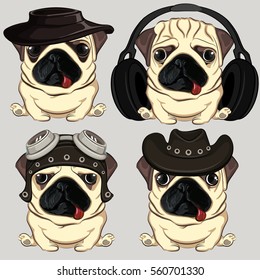 pug set
