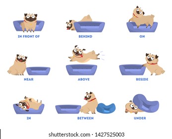 Pug set. Learning preposition concept. Animal above and behind, near and under the pillow. Isolated vector educational illustration in cartoon style