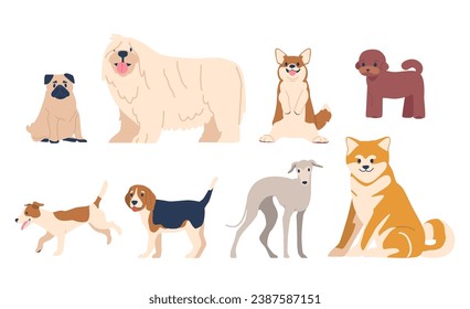 Pug, Shiba, Inu Or Komondor, Corgi, Jack Russel With Puddle And Beagle Dogs Isolated On White Background, Vector Set